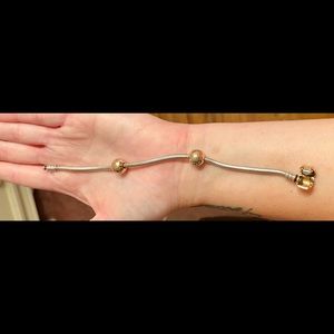 Two tone Pandora Chain Bracelet